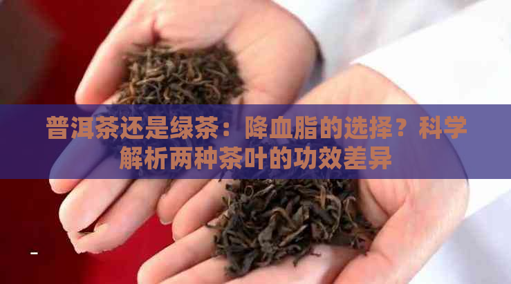 普洱茶还是绿茶：降血脂的选择？科学解析两种茶叶的功效差异