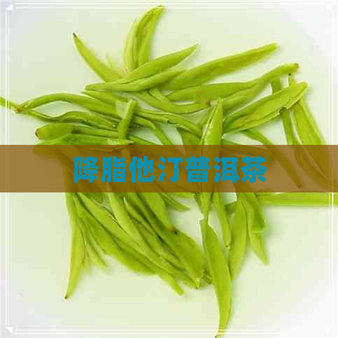 降脂他汀普洱茶