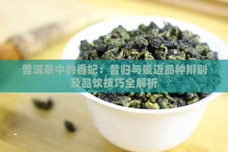 普洱茶中的香妃：昔归与景迈品种辨别及品饮技巧全解析