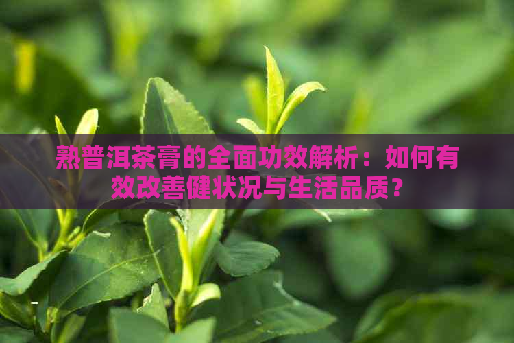 熟普洱茶膏的全面功效解析：如何有效改善健状况与生活品质？