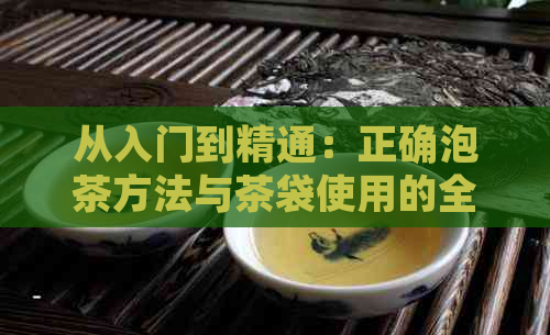 从入门到精通：正确泡茶方法与茶袋使用的全面指南