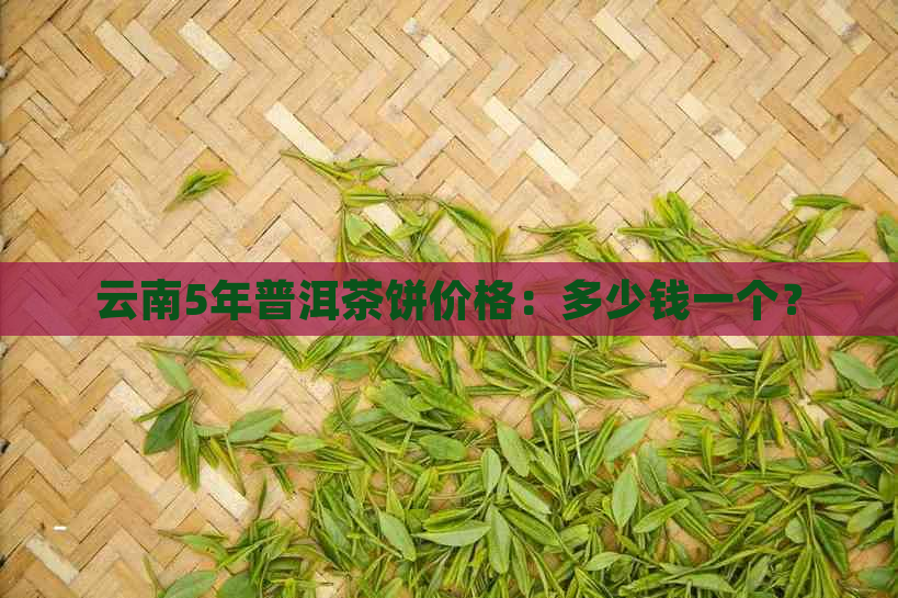 云南5年普洱茶饼价格：多少钱一个？