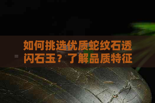 如何挑选优质蛇纹石透闪石玉？了解品质特征与购买建议