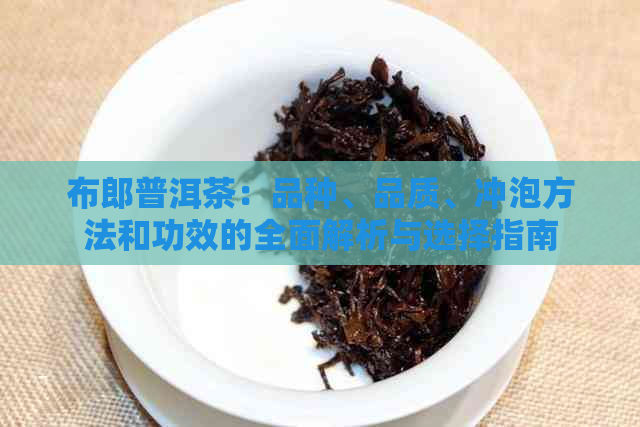 布郎普洱茶：品种、品质、冲泡方法和功效的全面解析与选择指南