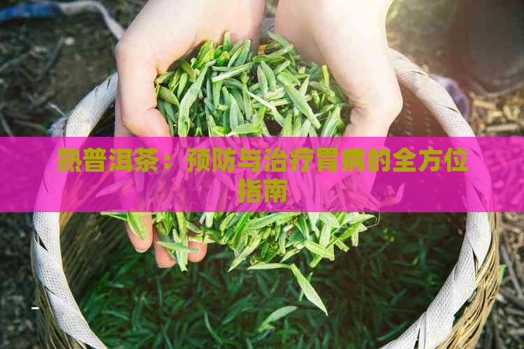 熟普洱茶：预防与治疗胃病的全方位指南