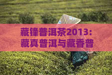 藏锋普洱茶2013: 藏真普洱与藏香普洱的详细介绍