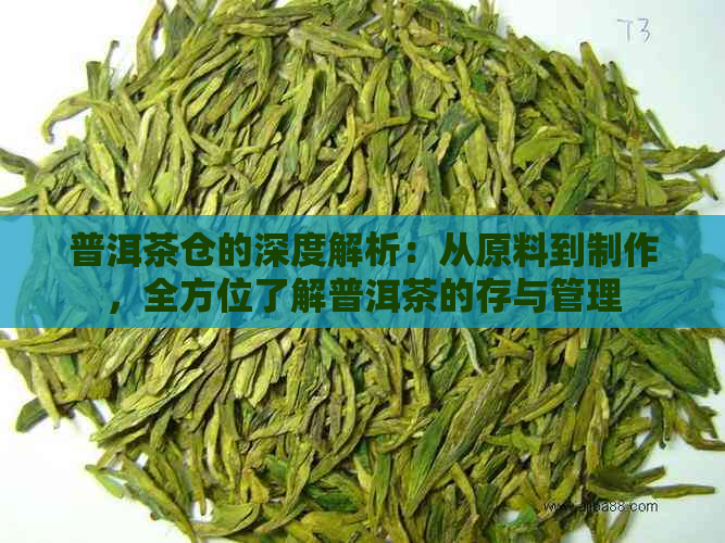 普洱茶仓的深度解析：从原料到制作，全方位了解普洱茶的存与管理