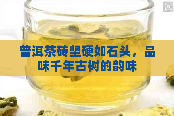 普洱茶砖坚硬如石头，品味千年古树的韵味