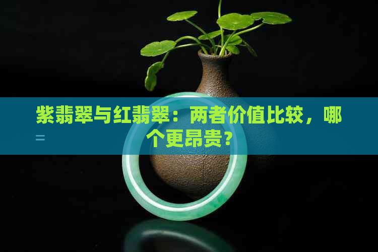 紫翡翠与红翡翠：两者价值比较，哪个更昂贵？