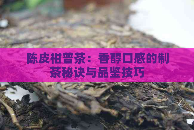 陈皮柑普茶：香醇口感的制茶秘诀与品鉴技巧