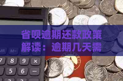 省呗逾期还款政策解读：逾期几天需全额还清？