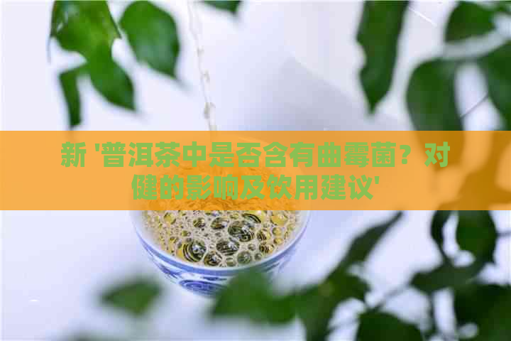 新 '普洱茶中是否含有曲霉菌？对健的影响及饮用建议'