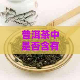 普洱茶中是否含有黄曲霉菌？如何避免普洱茶受到黄曲霉污染？