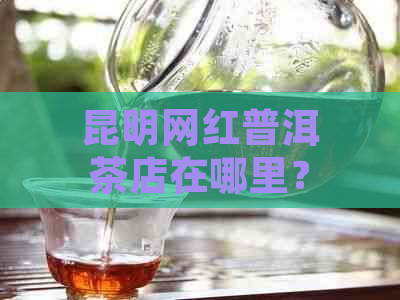 昆明网红普洱茶店在哪里？昆明普洱茶叶有哪些？