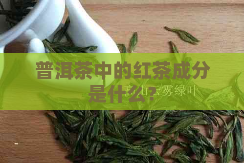 普洱茶中的红茶成分是什么？