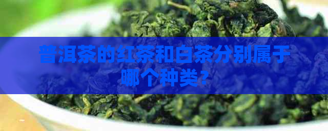 普洱茶的红茶和白茶分别属于哪个种类？