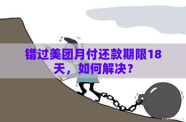 错过美团月付还款期限18天，如何解决？