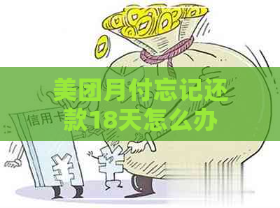 美团月付忘记还款18天怎么办