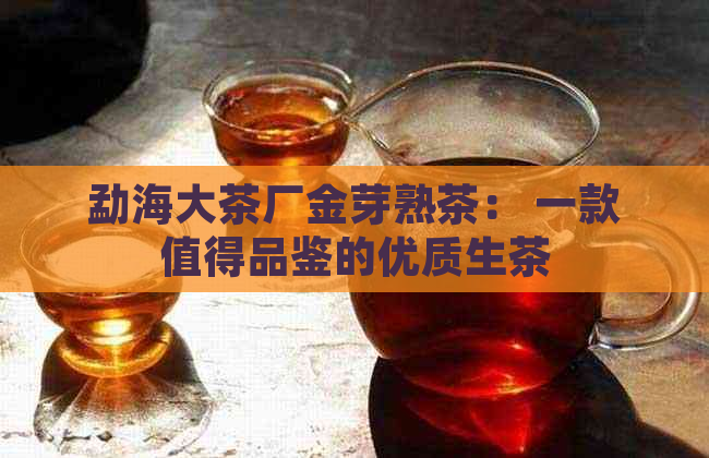 勐海大茶厂金芽熟茶： 一款值得品鉴的优质生茶