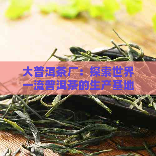 大普洱茶厂：探索世界一流普洱茶的生产基地与品质保证