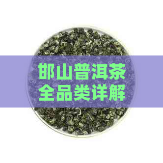 邯山普洱茶全品类详解：从入门级到高端品鉴，一篇解决你的所有疑问