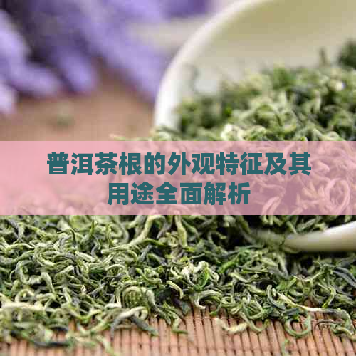 普洱茶根的外观特征及其用途全面解析