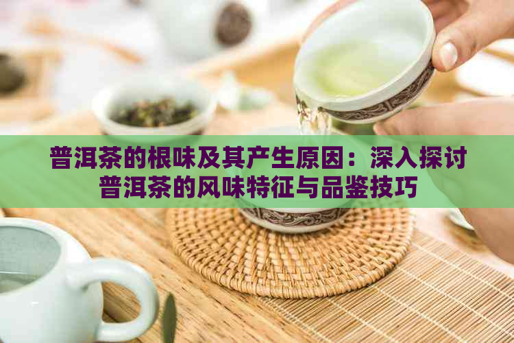 普洱茶的根味及其产生原因：深入探讨普洱茶的风味特征与品鉴技巧