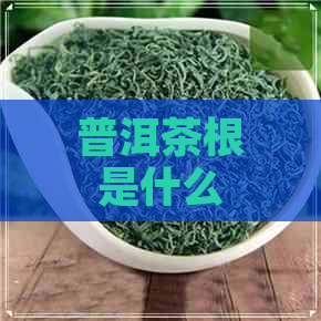 普洱茶根是什么