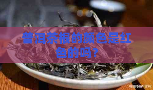 普洱茶根的颜色是红色的吗？