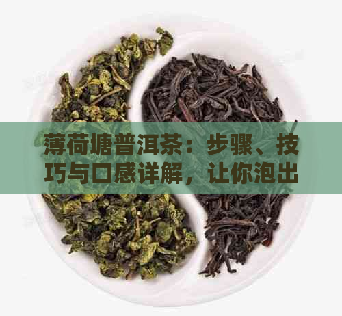 薄荷塘普洱茶：步骤、技巧与口感详解，让你泡出风味！