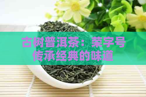 古树普洱茶：荣字号传承经典的味道