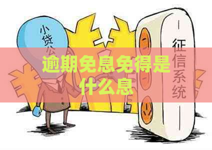 逾期免息免得是什么息