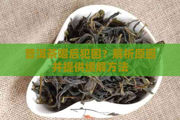 普洱茶喝后犯困？解析原因并提供缓解方法