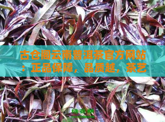 古仓阁云南普洱茶官方网站：正品保障，品质越，茶艺文化体验