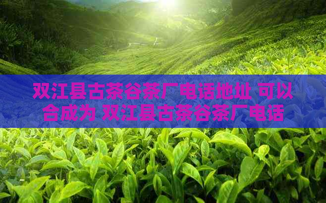 双江县古茶谷茶厂电话地址 可以合成为 双江县古茶谷茶厂电话。