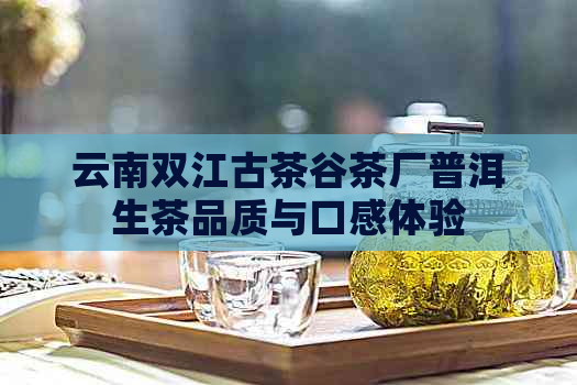 云南双江古茶谷茶厂普洱生茶品质与口感体验