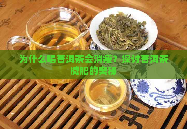 为什么喝普洱茶会消瘦？探讨普洱茶减肥的奥秘