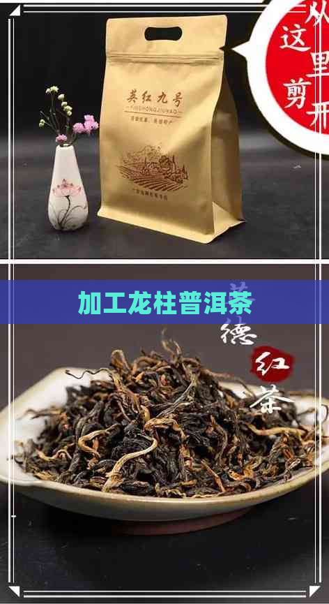 加工龙柱普洱茶