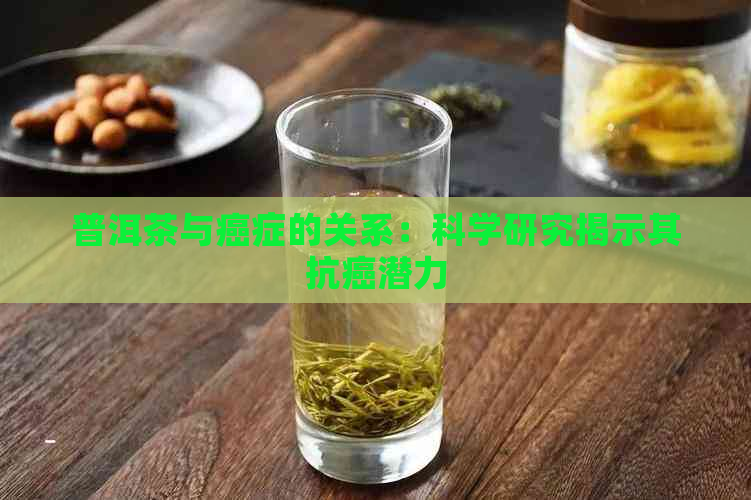 普洱茶与癌症的关系：科学研究揭示其抗癌潜力