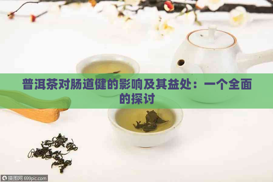 普洱茶对肠道健的影响及其益处：一个全面的探讨