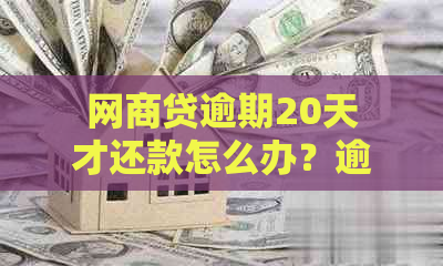 网商贷逾期20天才还款怎么办？逾期十几天还款后，是否还能再次借款？