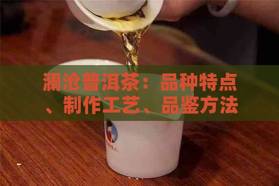 澜沧普洱茶：品种特点、制作工艺、品鉴方法与功效详解