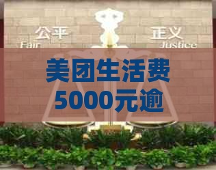 美团生活费5000元逾期还款，分期付款限制与解除全解析