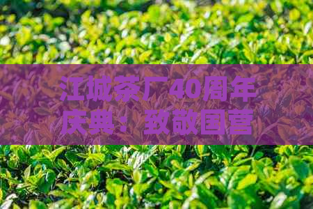 江城茶厂40周年庆典：致敬国营传统，品味砖茶香韵