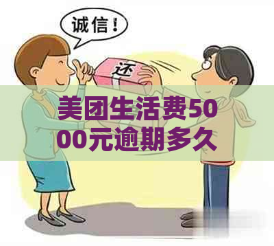 美团生活费5000元逾期多久不能分期