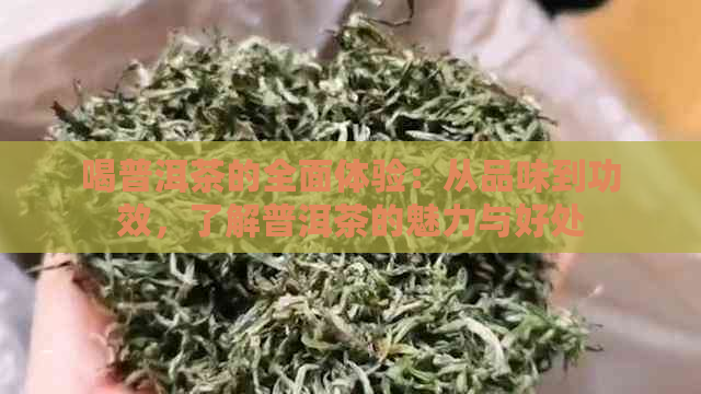 喝普洱茶的全面体验：从品味到功效，了解普洱茶的魅力与好处