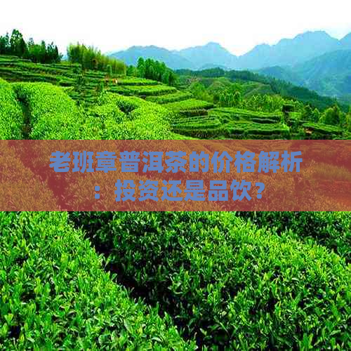 老班章普洱茶的价格解析：投资还是品饮？