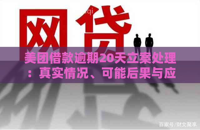 美团借款逾期20天立案处理：真实情况、可能后果与应对策略