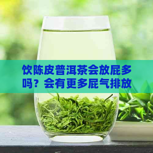 饮陈皮普洱茶会放屁多吗？会有更多屁气排放吗？喝陈皮普洱茶会导致便秘吗？