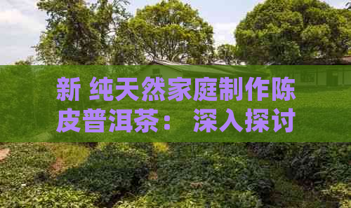 新 纯天然家庭制作陈皮普洱茶： 深入探讨其独特风味与健益处